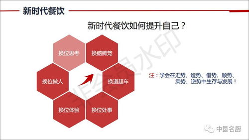 大师说 新时代餐饮产品与有效管理 上 李林生